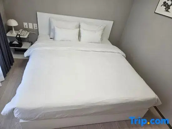 HOTEL THE DESIGNERS LYJ SUITE YEOKSAM