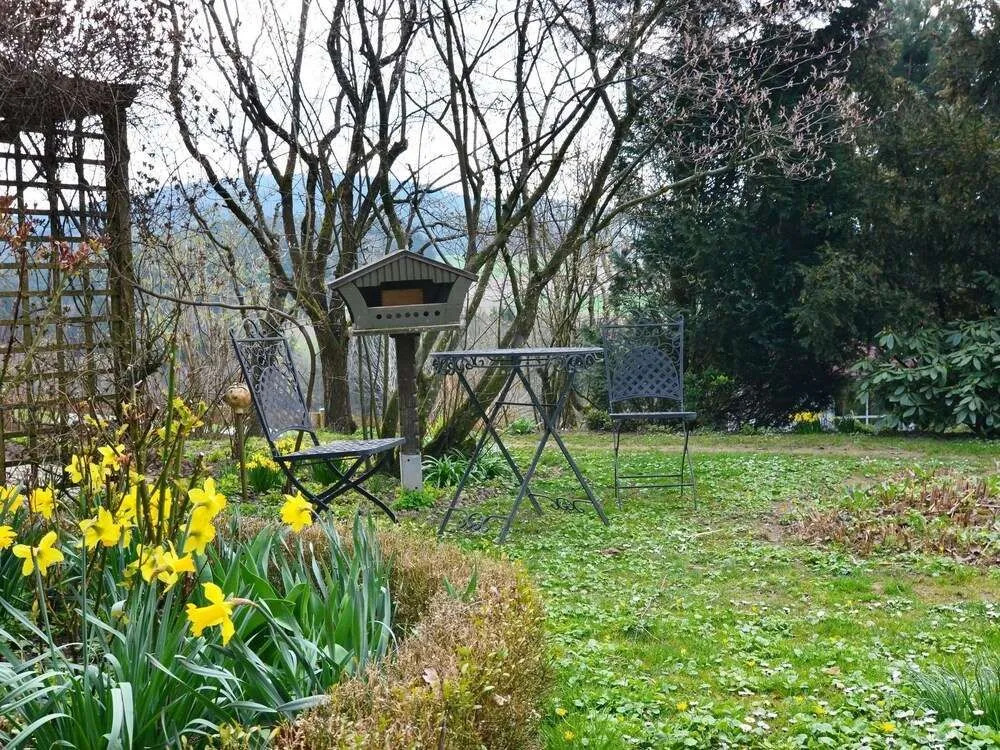 Ferienwohnung in Bernhardsberg nahe Skipisten