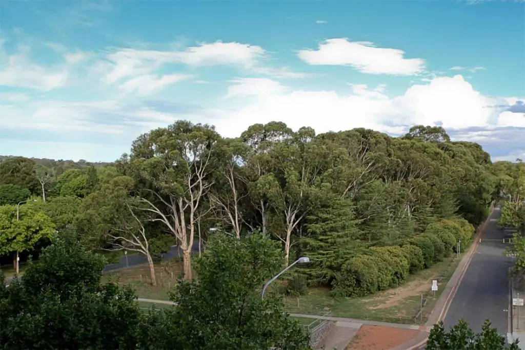 Glebe Park 145 Canberra City ACT