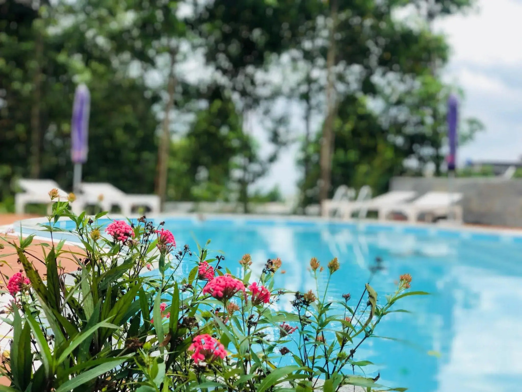Duy Toan Guesthouse