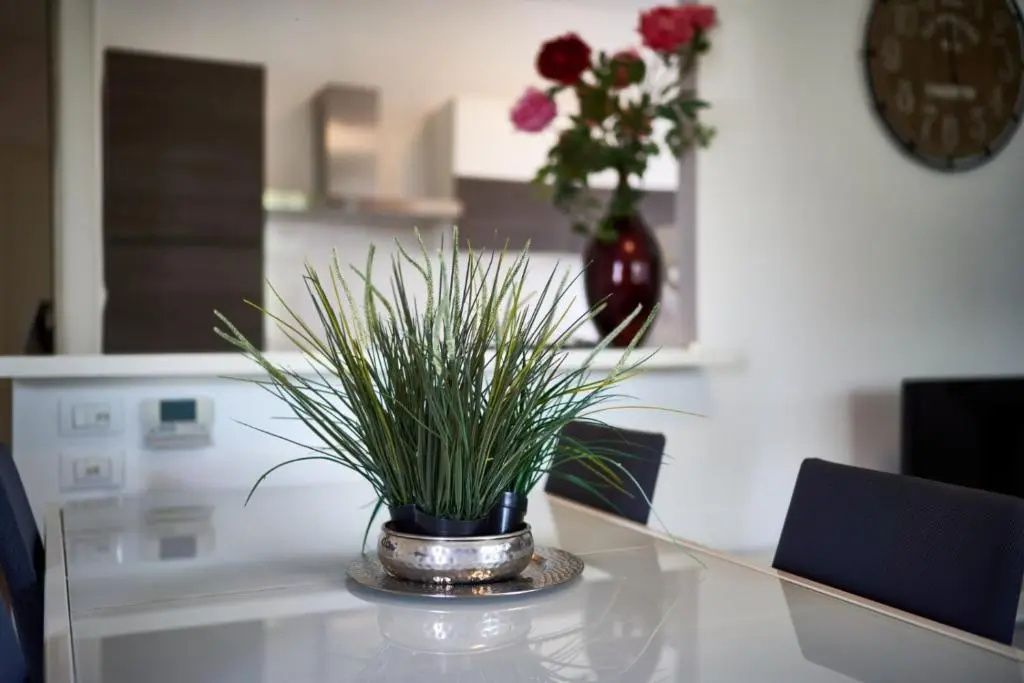 Your Familyapartment in Sirmione
