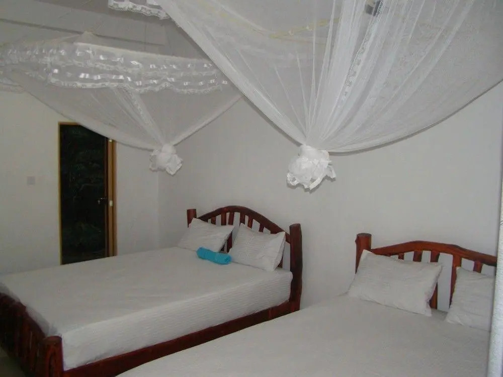 Ella River House
