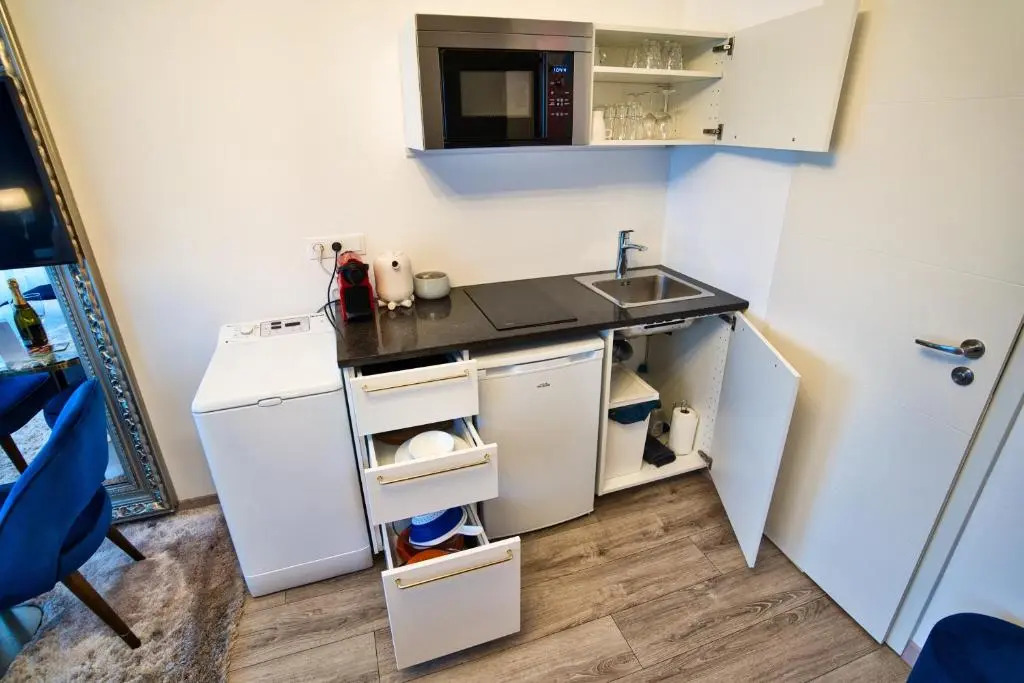 Goodtime Apartments Strasbourg
