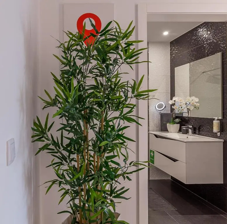 LED Apartment - Vista Alegre