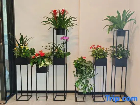Wuhan Anpu Yueting Hotel