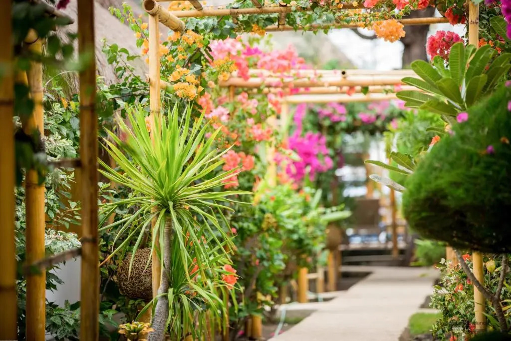 Bambu Cottages