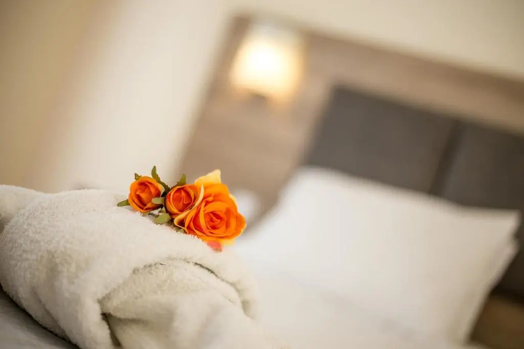 Patricia Suites