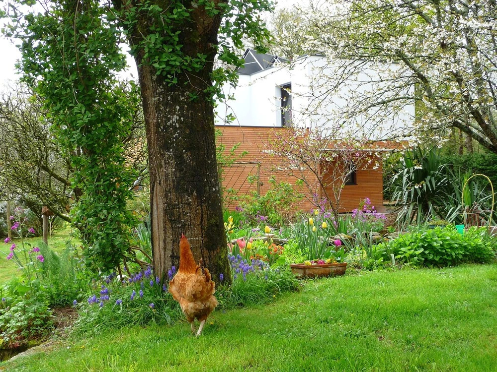 Le Jardin aux Oiseaux