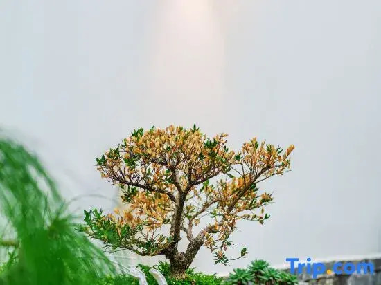 Lin'an Yishi Homestay (Jianshui Ancient City Branch)