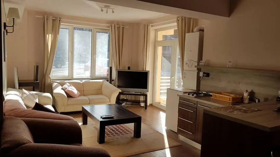 Prahova Valley Apartment