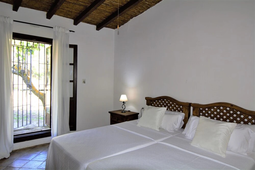 Casa Olivos