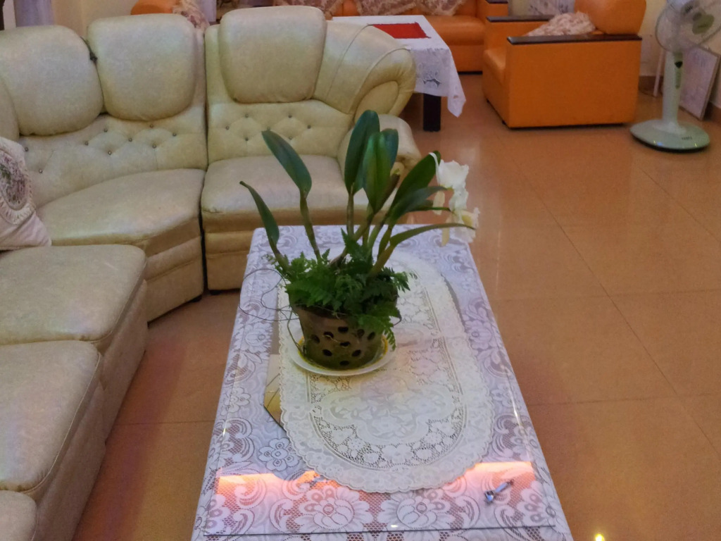 Bich Khue Hotel