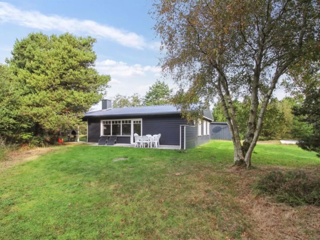 "Eliana" - 3.0km from the sea in Western Jutland