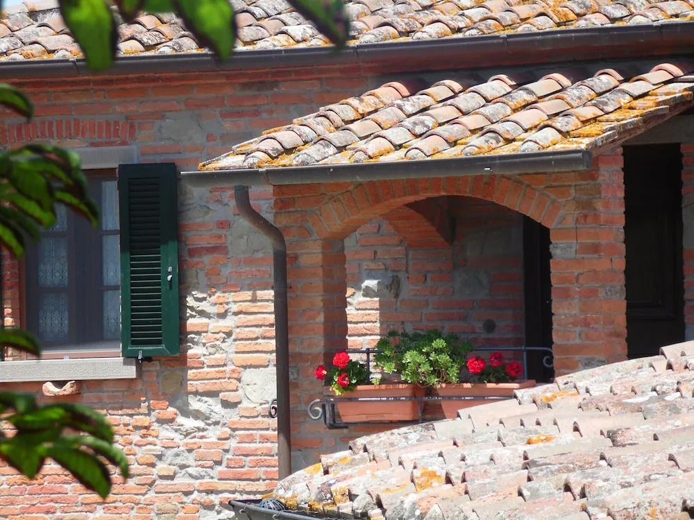 Rosa dei Venti