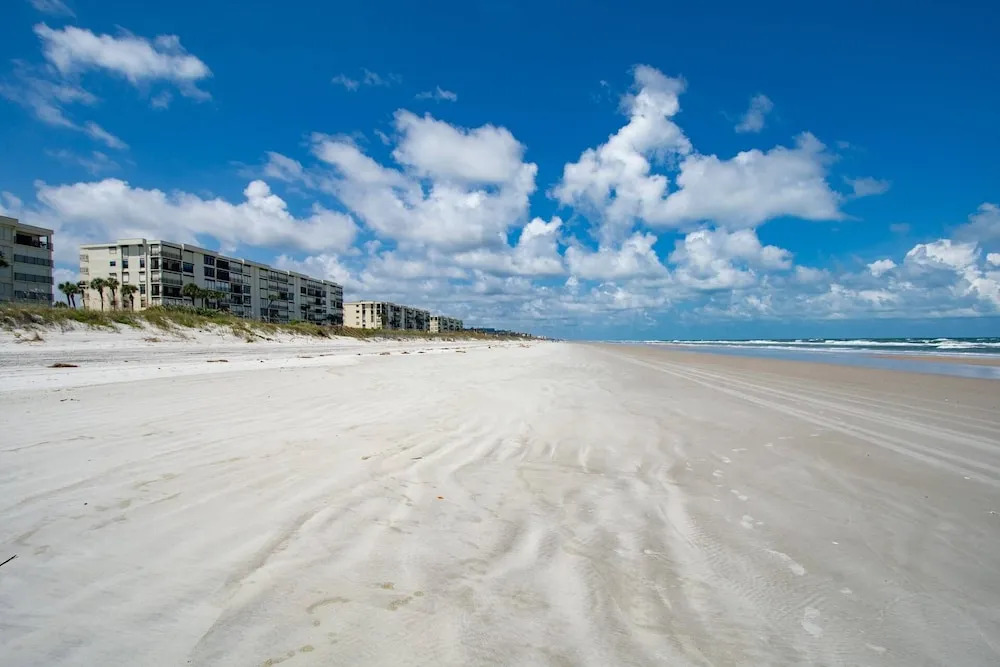 Sand Dollar #205