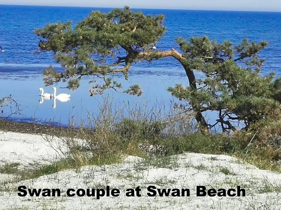 The FIG Studio - Boutique Guest House - near Rønne & Beach