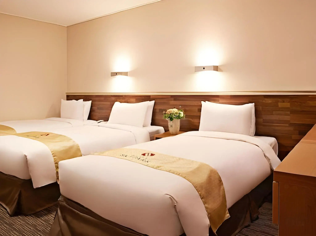 Hotel Skypark Myeongdong 1