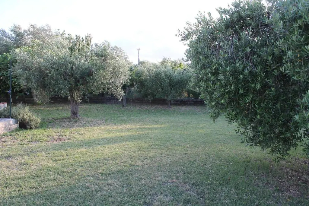 La Farfalla