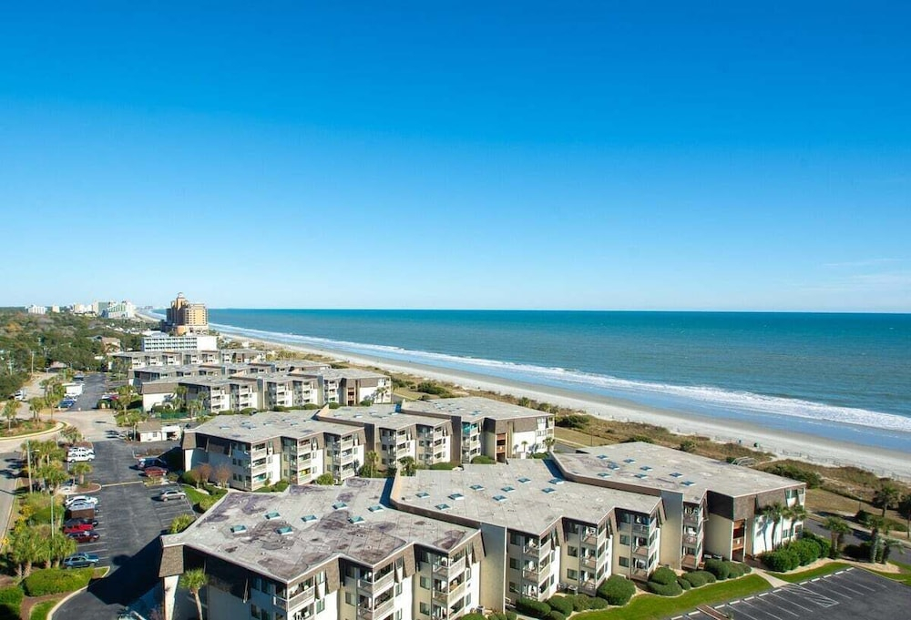 Ocean Forest 1401