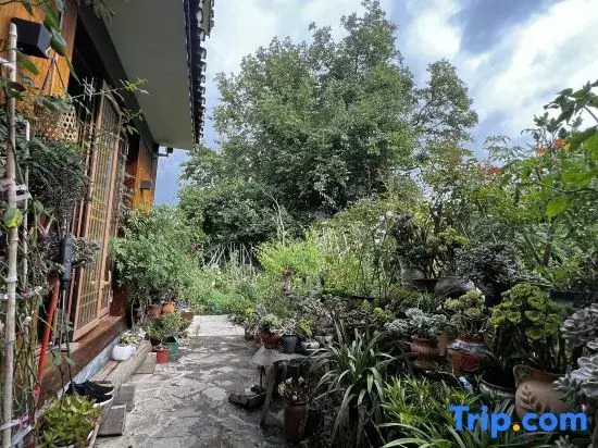 Qingyan Yifang Courtyard Homestay