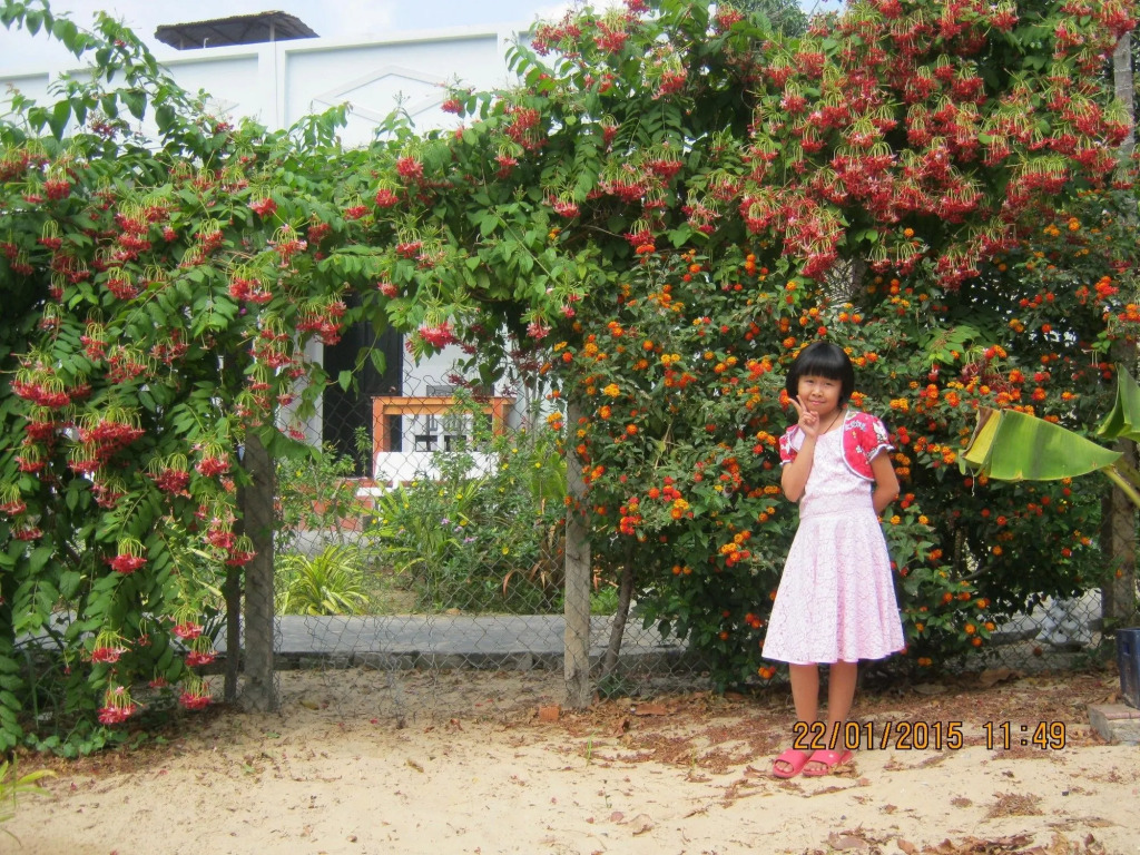 Sea Winds Resort