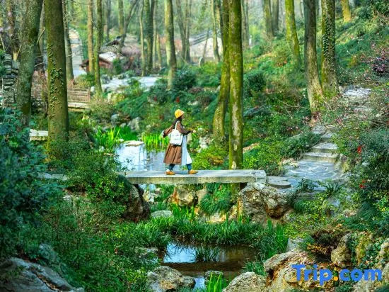 Tongling Yongquan Town