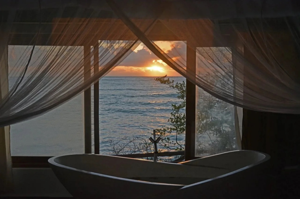 The Island - Pongwe Lodge