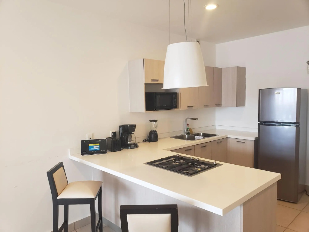Premium Carso Alameda Luxury Lofts