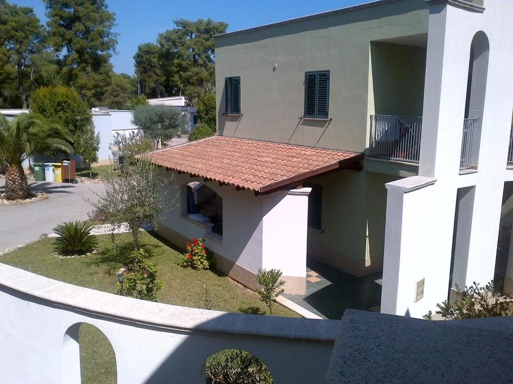 Selva Dei Pini