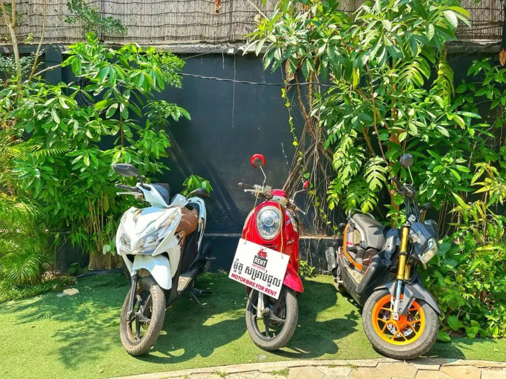 Botanic Artistry Boutique Hotel & Garden