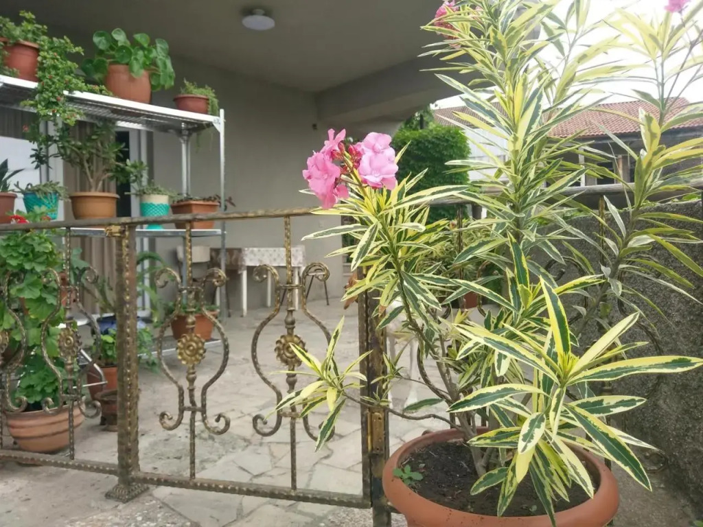 Guest House Vista