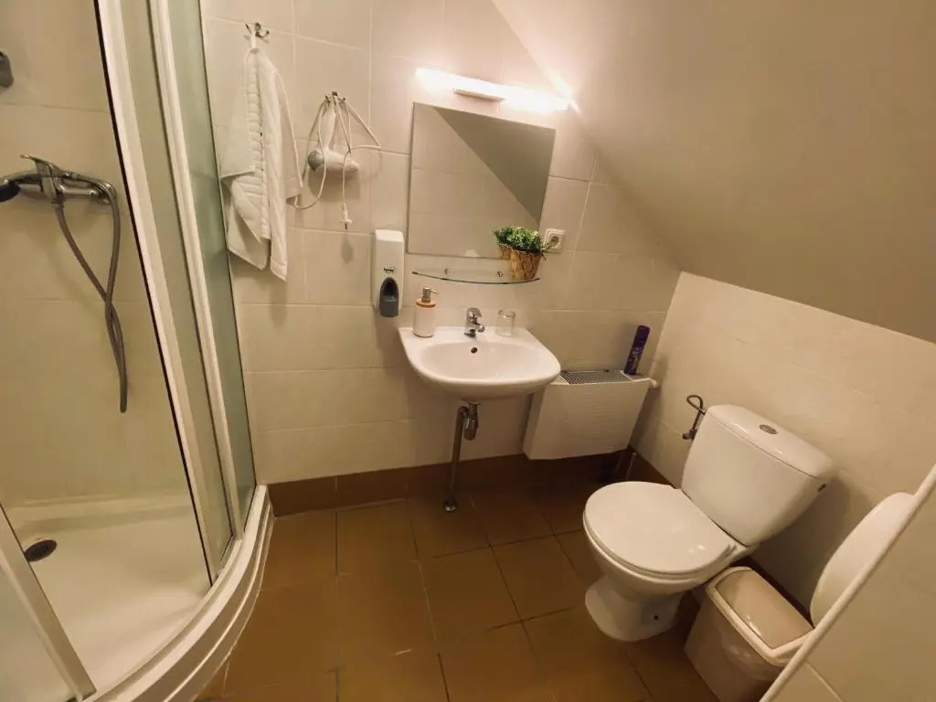 In heart of Trakai youll find authentic Karaim house