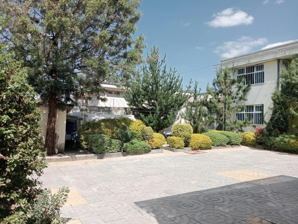 Avi Guest House