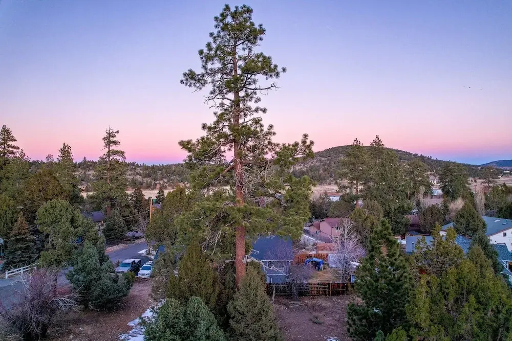Entertainment Cabin #610