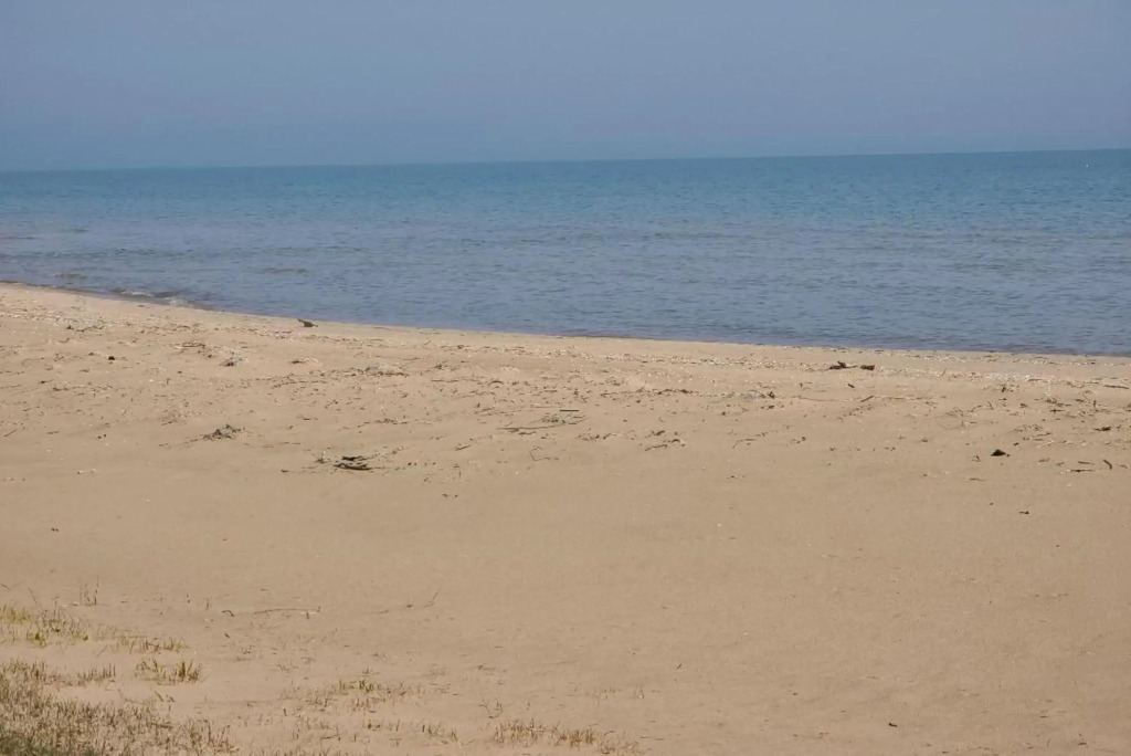 Lake Huron - 1 Bedroom, 1 Bath Lake Front Cabin (Sleeps 4)