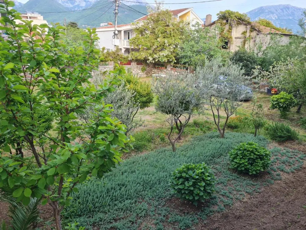 Apartments Macaso
