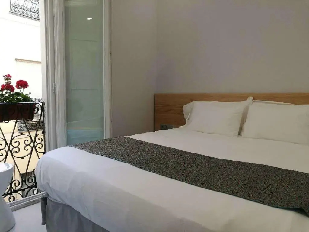 Hostal Palacio Luna