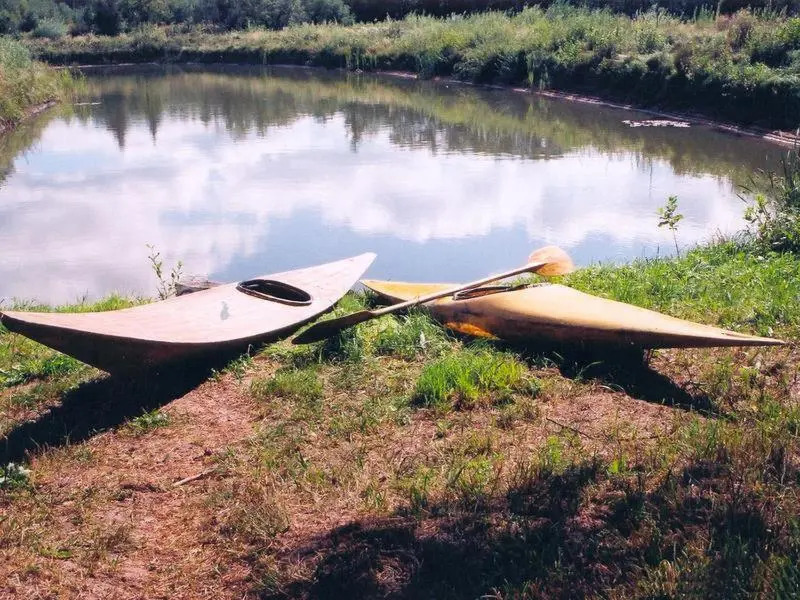 Avotnieki