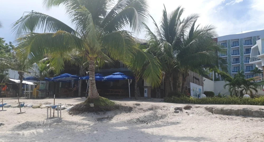 birdwatchers beachfront hotel panglao