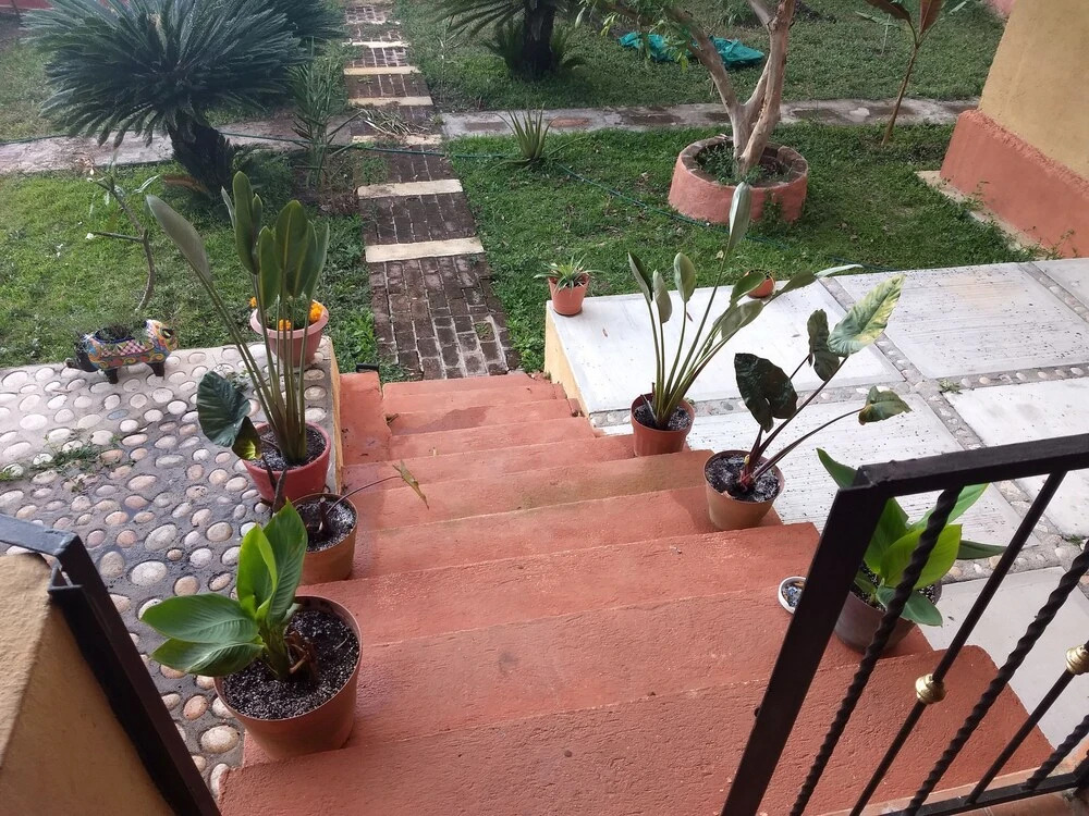 La Joya De Tuito Bed & Breakfast
