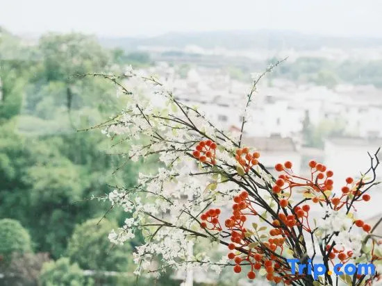 Yaliang Flower and Bird Collection Bed and Breakfast