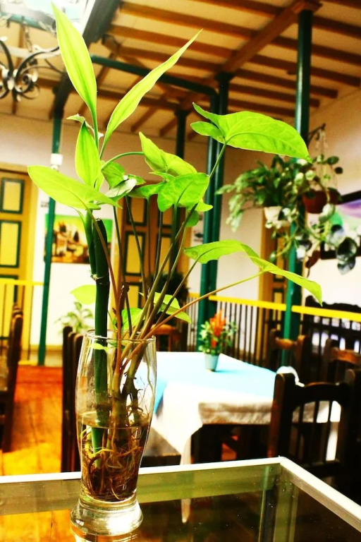 Hotel Geranios