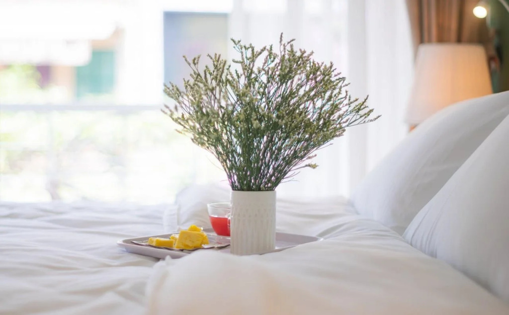Backy Posh Hostel by Poshtel Vietnam
