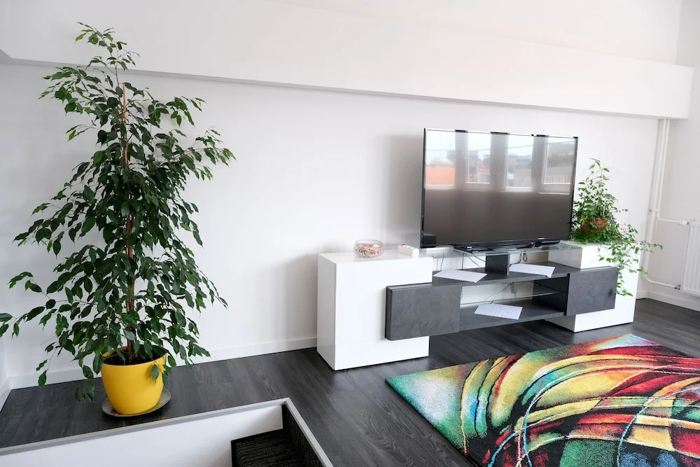 Luxury Main Square Apartments