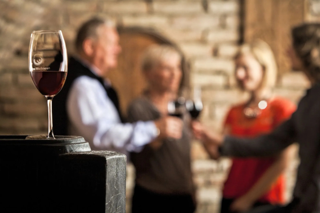 Wine Wellness Hotel Amande Hustopeče