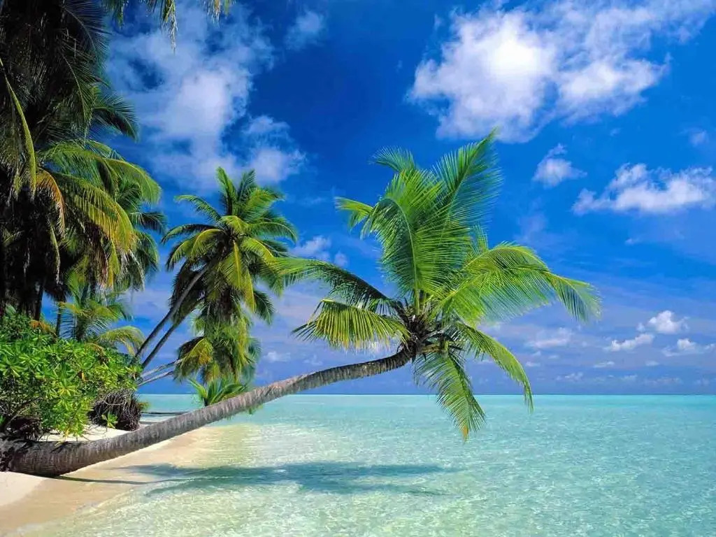 Sanya Tropical Coast Hotel