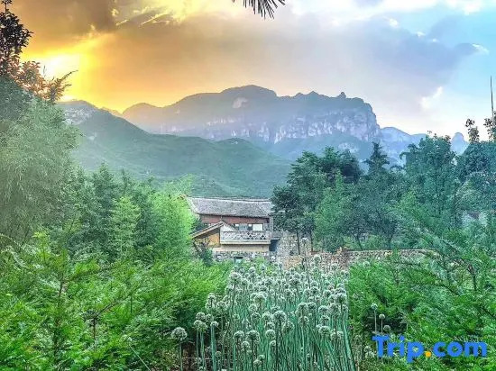 Yuntaishan Puju Lakeside Homestay