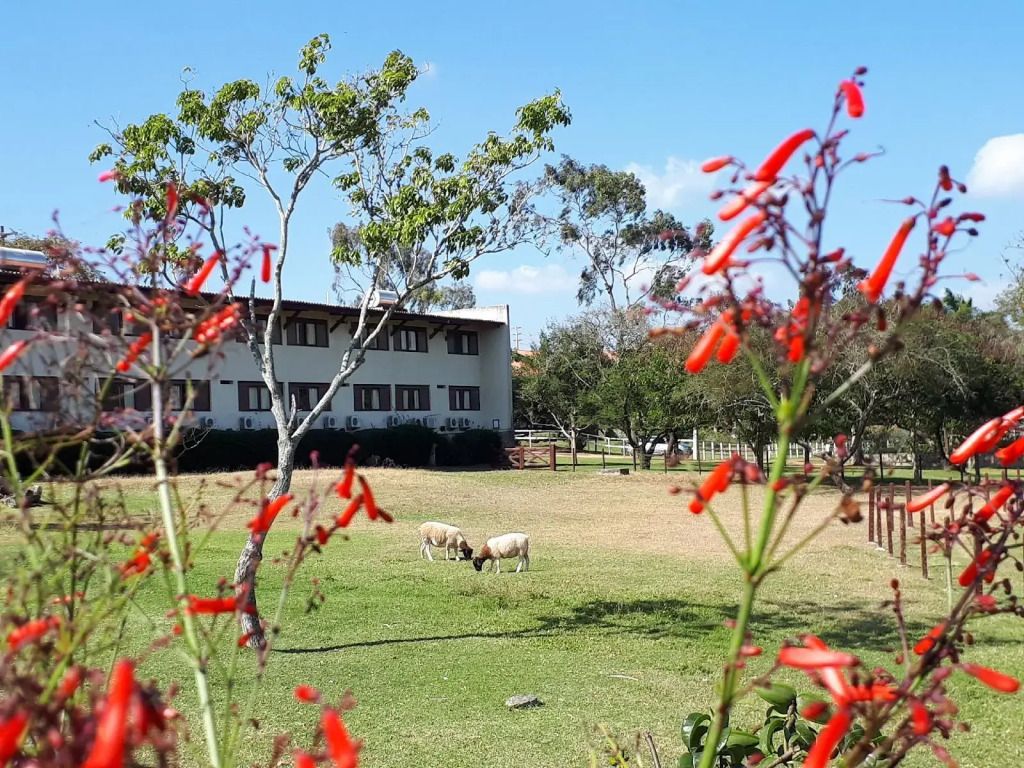 Hotel Fazenda Portal de Gravatá