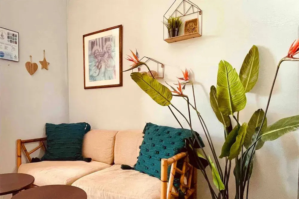A Short Drive to Culebra Bohemian Eco-stay