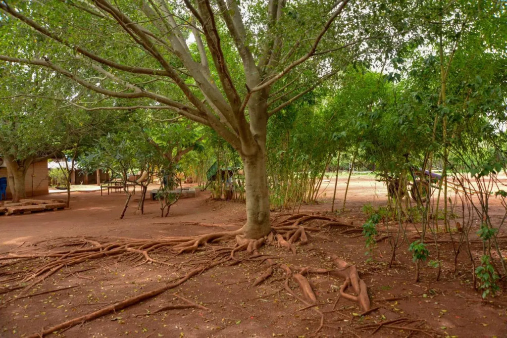 Our Native Village Eco Resort
